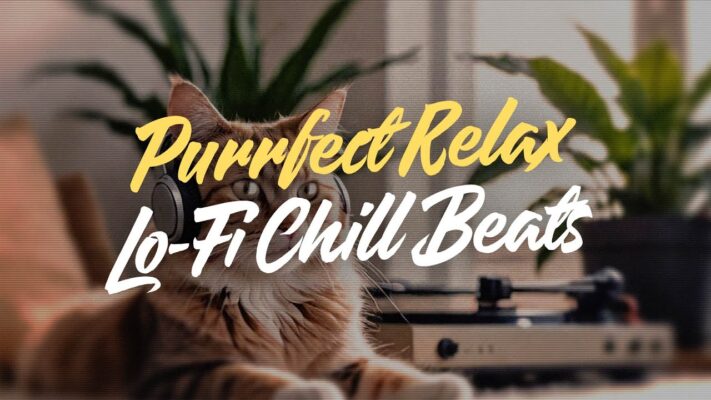 Purrfect Lo-Fi Mix 🐱 | Relaxing tunes for a feline vibe [2024]